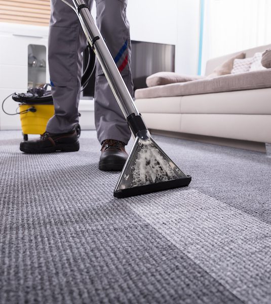 Professional Carpet Cleaning in Chattanooga, TN